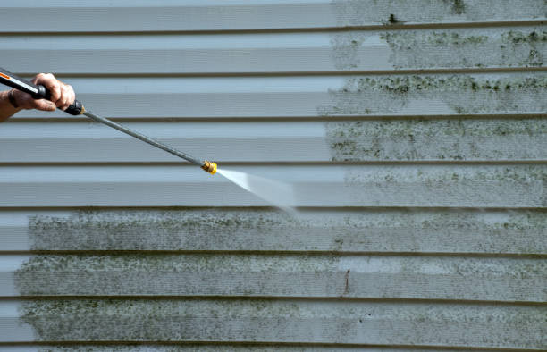 Best Driveway Cleaning and Restoration in Morton Grove, IL